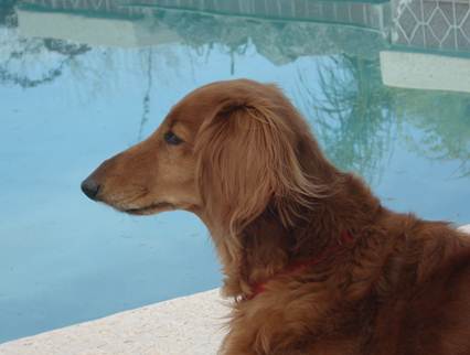 cid:image002.jpg@01CE1066.1B6DC390