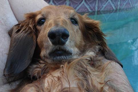 cid:image004.jpg@01CE1066.1B6DC390